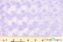Lavender Lilac Purple Minky Swirl Rose Blossom Ball Rosebud Plush Fur Fabric Polyester 16 oz 58-60