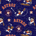 Houston Astros & Mickey
