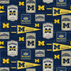 Michigan Wolverines Football Flags